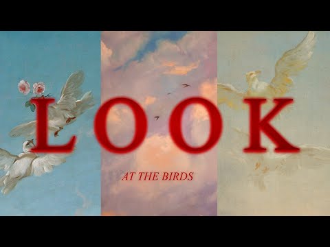 “LOOK AT THE BIRDS OF THE AIR” | Christian Edit