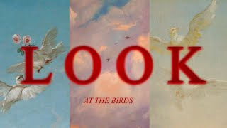Look At The Birds Of The Air Christian Edit