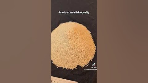 American wealth inequality visualized with grains of rice