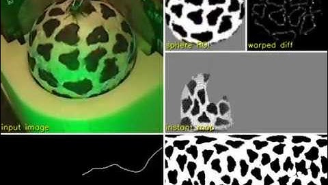 FicTrac: a visual method for tracking spherical motion and generating fictive animal paths