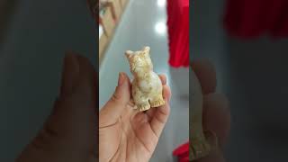 Coral Fossil Rabbit Carving – Hand Carved Natrual Stone #crystals #crystalsdotcom  #crystalshop