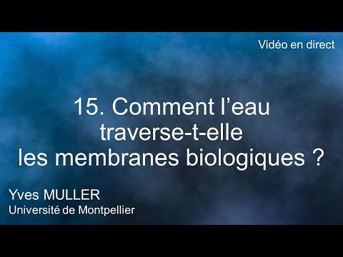 Vidéo: Comment l'oxygène traverse-t-il la membrane cellulaire ?