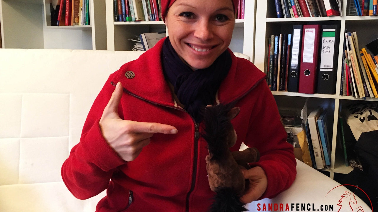 Webinar mit Sandra Fencl zur ganzheitlichen Korrektur der natürlichen Schiefe des Pferdes