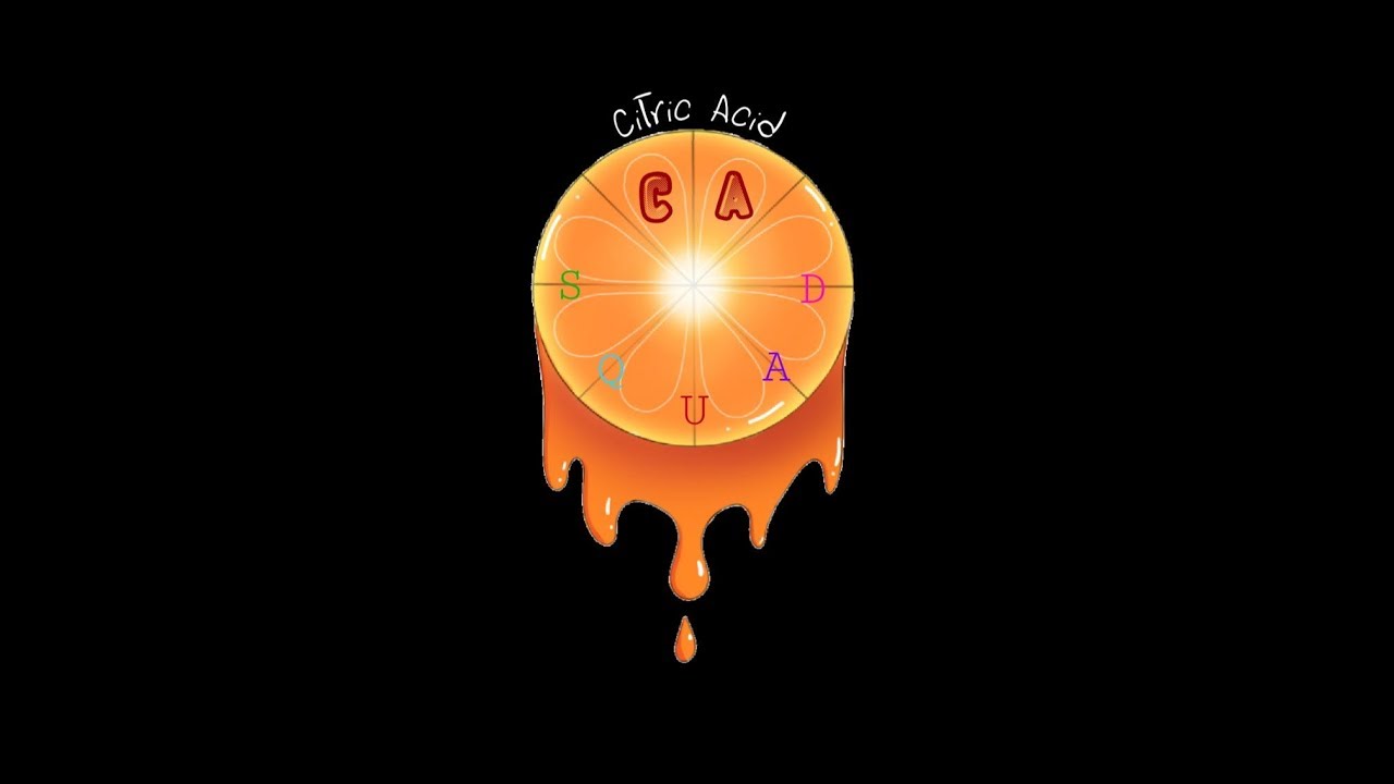 Welcome to Citric Acid Squad