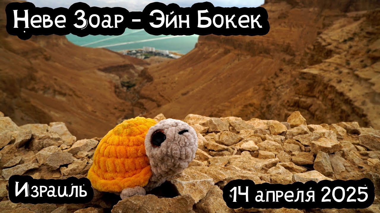 Израиль | Прогулка у Мёртвого моря