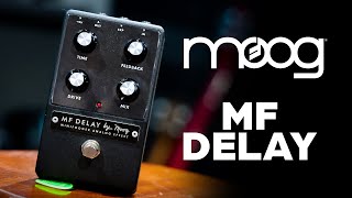 Moog MF DELAY ギターエフェクター Moog Minifooger MF Delay Effect Pedal | zZounds