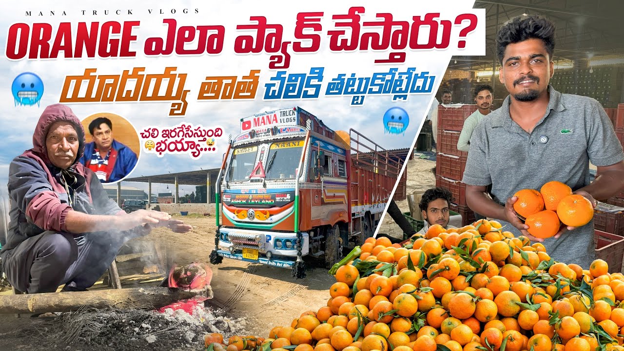 Orange🍊 packing అండ్ లోడింగ్ ఎలా చేస్తారు 🤔యాదయ్య తాత చలికి తట్టుకోవట్లేడు 🚛