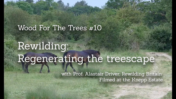 Rewilding: Regenerating the Treescape, part 10 of ...