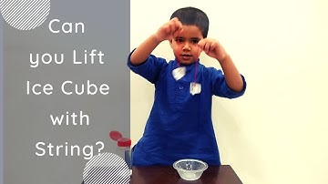 Can you lift an ice cube with a string! - Experiment with Frozen Water | little hands on science