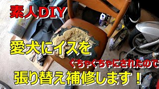 【DIY】犬ちゃん達がやらかした、椅子の張り替え修理