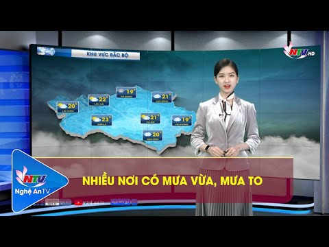 Video Bản tin Dự báo thời tiết đêm 04/01, ngày 05/01/2023 - youtube