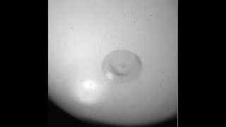 Details High-Speed Imaging of Drops and Bubbles: Supplemental Video 14 Update