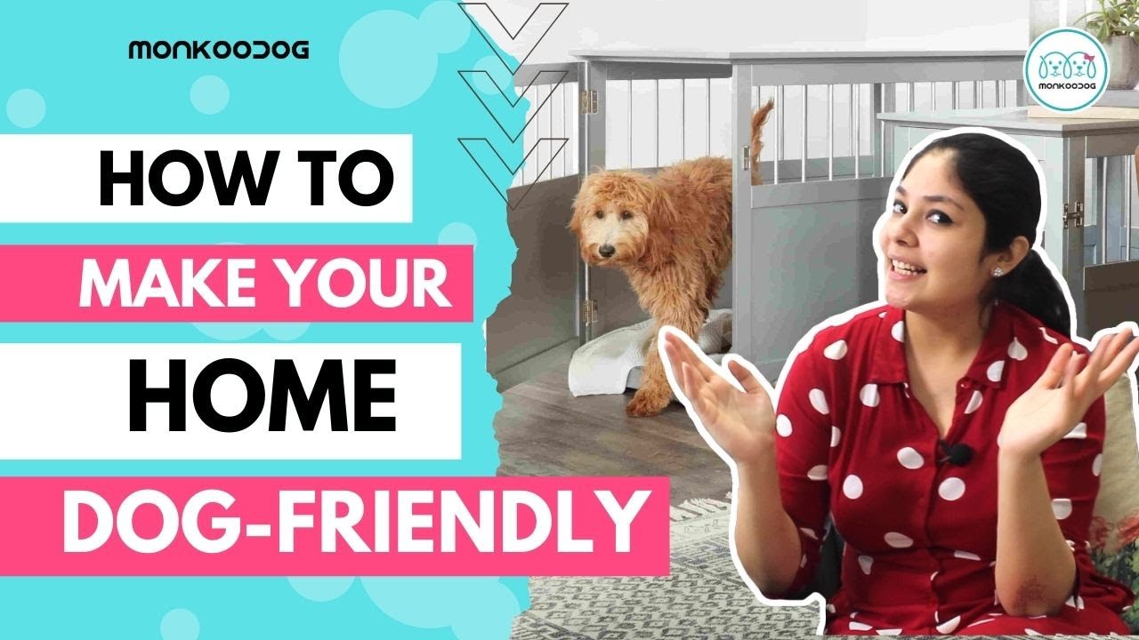 How To Prepare Your Home For a Pet