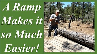 DIY Logging and Feeding Sheep Pine Needles