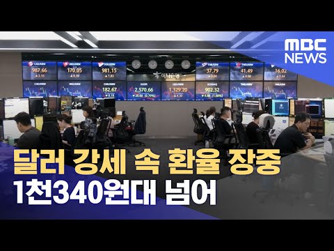   달러 강세 속 환율 장중 1천340원대 넘어 2023 08 17 12MBC뉴스