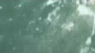 Sand Eel Umbrella Rig Trolling for Striped Bass