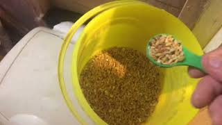 Young Tippler Training & Finale Hatch