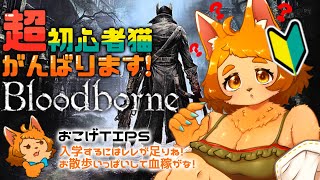 【Bloodborne】入学にはパワーが足りない！？今すぐマッスルなってきます！！！