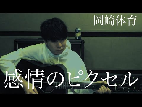 【アコギ弾き語り】感情のピクセル / 岡崎体育【毎日投稿94/100】