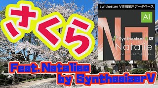【SynthesizerV】18人目のお迎えはNatalieさんです。「さくら」 作詞作曲 ヨダカズオ by Natalie by SynthesizerV