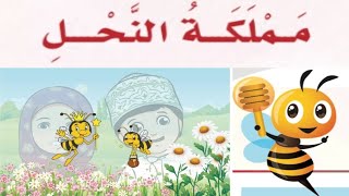 درس مملكة النحل (مملكة عجيبة) - لغة عربية للصف الرابع الابتدائي