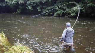 Guideline ULS Integrated WF - Slow Motion Cast (2)