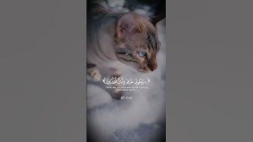 سورة الانسان | القارئ #محمد_اللحيدان #المصحف #قرآن