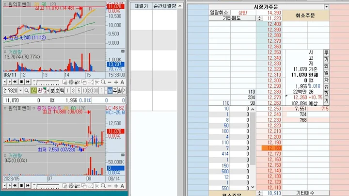 [호가창] 원익피앤이 (217820) 2023-8-14 (+16.80%) 호가창 풀타임
