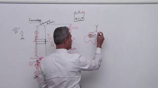Immunology Lecture 1 Part  3