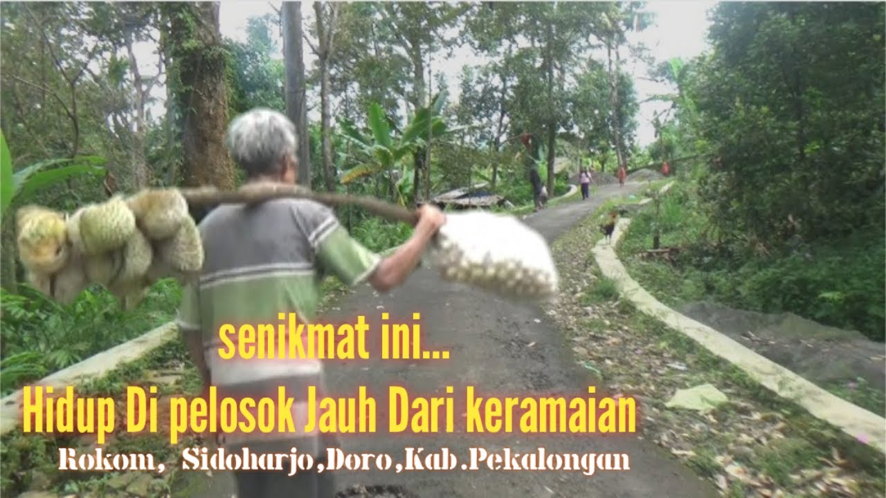 Wah..Damainya tinggal di kampung penghasil durian yang sejuk,tenang dan damai,Rokom,Sidoharjo