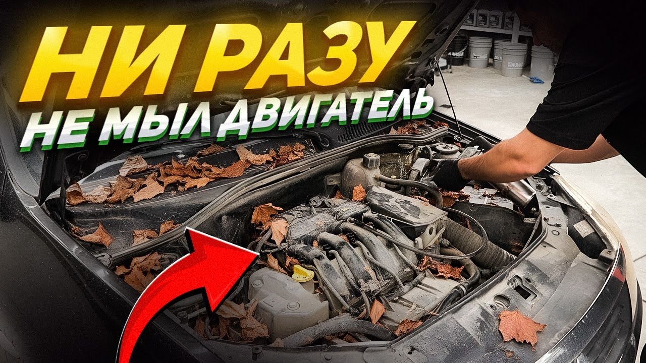 Первая правильная химчистка и мойка Renault Symbol.