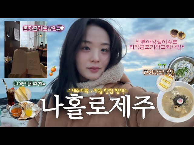 퇴사 후 혼자 떠난 제주도🍊 낭만 꽉 끼는 서쪽 뚜벅이 코스 • 인생 카페 • 혼술 • 가성비 1인 숙소 추천