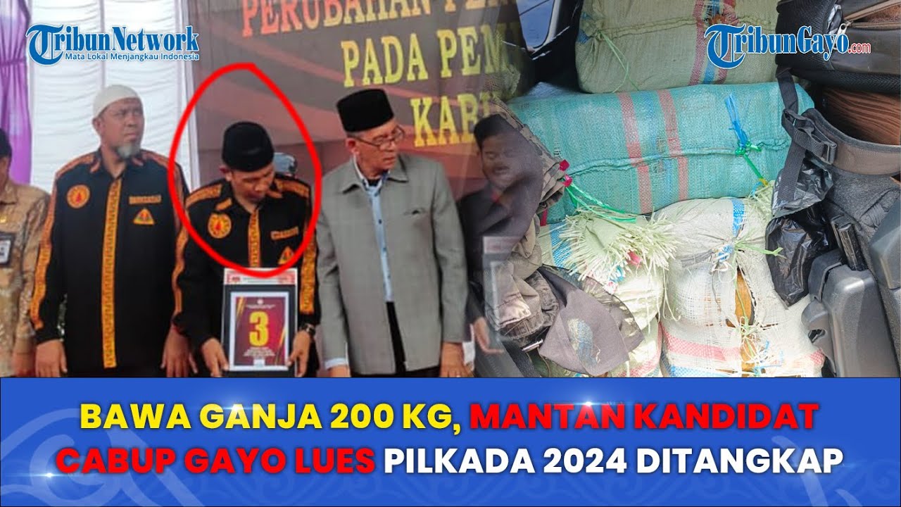 Bawa Ganja 200 Kg, Mantan Kandidat Cabup Gayo Lues Pilkada 2024 Ditangkap BNN