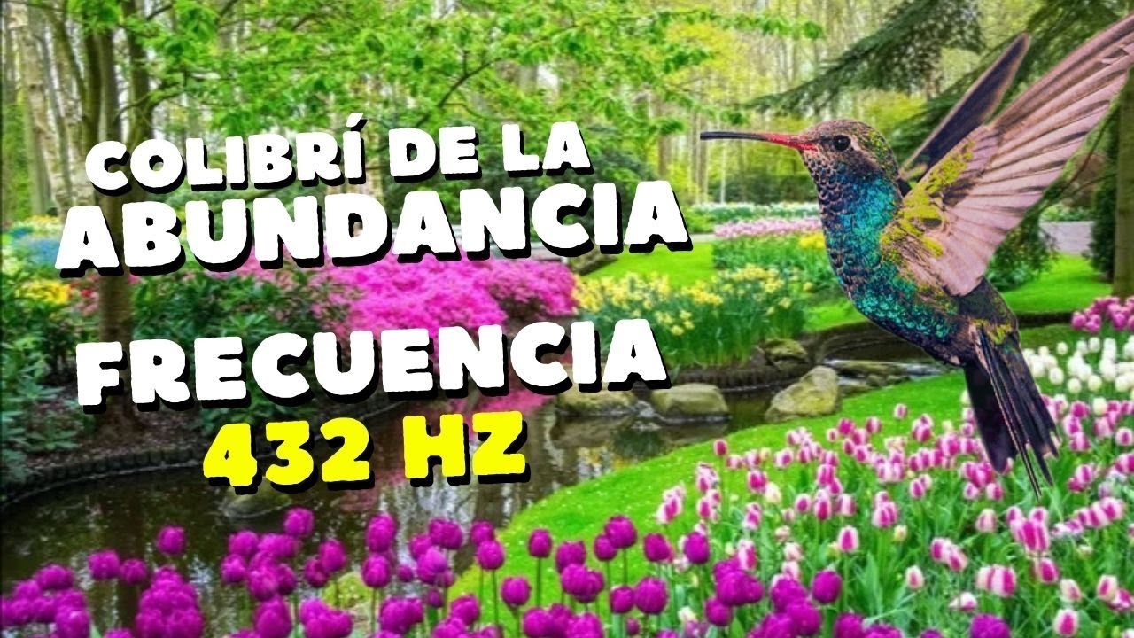 Colibrí de la Abundancia Frecuencia 432 HZ - YouTube