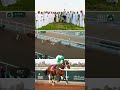 AJWADI takes Race 5 (120,000 SAR) at King Khalid Racecourse 🏇🇸🇦 | #TaifSeason | #SaudiRacing