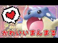 かわいいまんまるを見るみんなの反応集【ポケモンの反応集】
