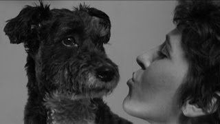 First Slobber First Kiss Parody - Strangers Kissing Dogs