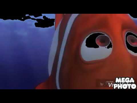 Barracuda attack g major 4
