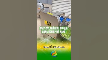 Máy cắt thái rau củ quả công nghiệp đa năng  #máycắtraucủquả #maythucpham #thegioimaythucpham