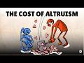 Understanding Antisocial Punishment