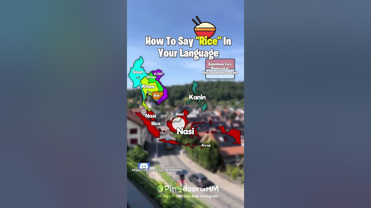 how-to-say-rice-in-your-language-bro-its-a-kind-of-a-pain-to-add