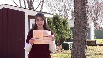 How to Take a Soil Sample From your Lawn or Garden