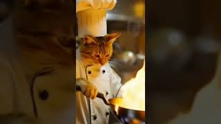Cute Chef Cat In Apron Funny Cooking Animation