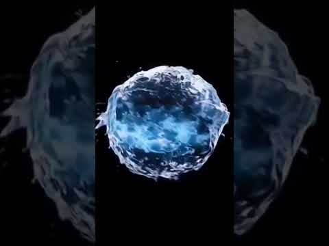 شكل وطريقة عمل هيد موتور الفلتر من الداخل