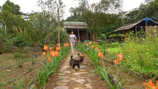 Collecting mushrooms, Growing string beans, Taking care of the garden, Cooking mushroom soup.