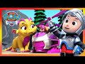 La pat patrouille part  laventure avec des bbs dragons paw patrol dessins anims pour enfants