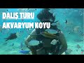 Akvaryum Koyu, Kemer, Dalış, Diving, Utku Coşkun