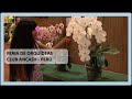 Feria de Orquídeas - Club Ancash  Lima Perú .2016