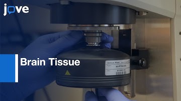 AFM, Impact Indentation and Rheometry for Characterizing Brain Tissue | Protocol Preview