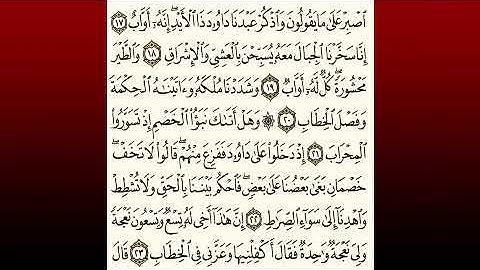 TAFSIIRKA:◇:سورة ص من١٧-٢٣:◇:SH:-MAXAMAD CABDI UMAL حفظه الله